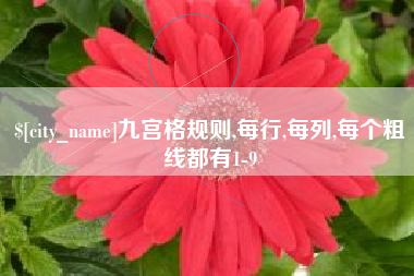 嘉兴九宫格规则,每行,每列,每个粗线都有1-9