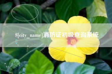 嘉兴消防证初级查询系统