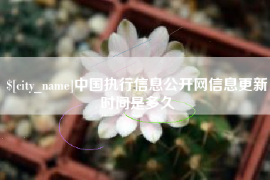嘉兴中国执行信息公开网信息更新时间是多久