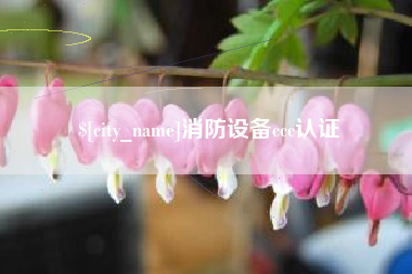 嘉兴消防设备ccc认证