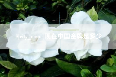 嘉兴现在中国金牌是多少