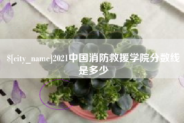 嘉兴2021中国消防救援学院分数线是多少