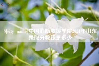 嘉兴中国消防救援学院2021年山东录取分数线是多少
