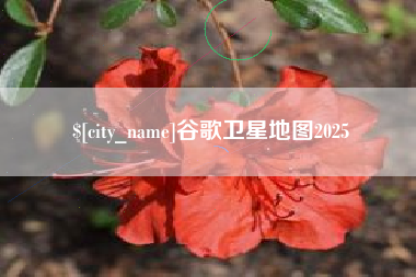 嘉兴谷歌卫星地图2025