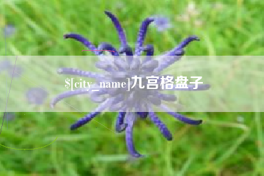 嘉兴九宫格盘子