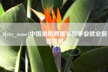 嘉兴中国消防救援学院毕业就业前景如何