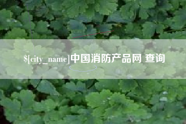 嘉兴中国消防产品网 查询