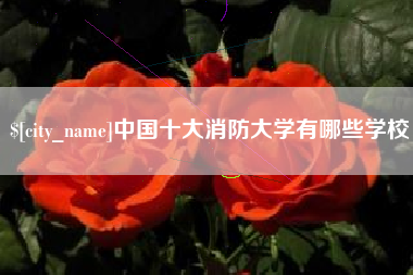嘉兴中国十大消防大学有哪些学校