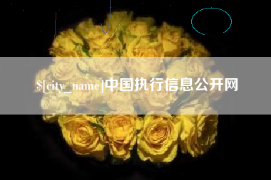 嘉兴中国执行信息公开网