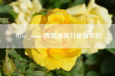 嘉兴我国消防日是每年的