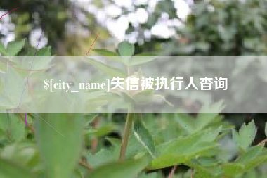 嘉兴失信被执行人杳询