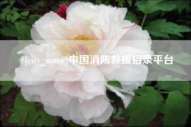 嘉兴中国消防救援招录平台