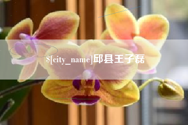 嘉兴邱县王子磊