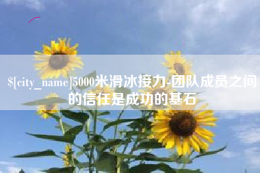 嘉兴5000米滑冰接力-团队成员之间的信任是成功的基石