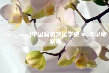 嘉兴中国消防救援学院2020年录取结果