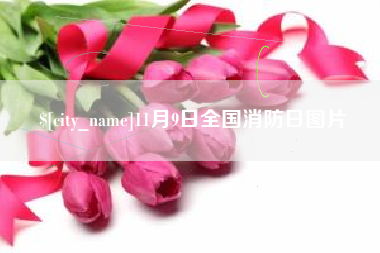 嘉兴11月9日全国消防日图片