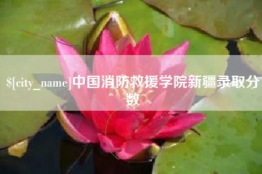 嘉兴中国消防救援学院新疆录取分数