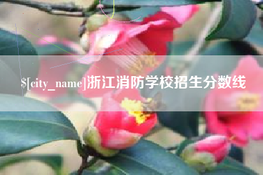 嘉兴浙江消防学校招生分数线