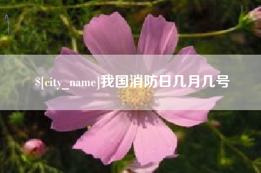 嘉兴我国消防日几月几号