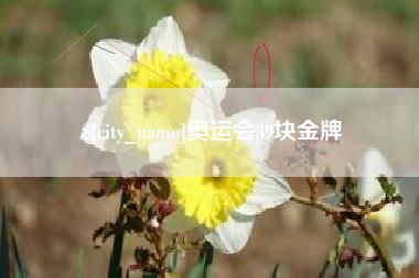 嘉兴奥运会39块金牌