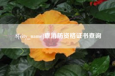 嘉兴查消防资格证书查询