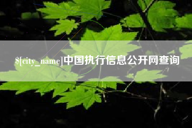 嘉兴中国执行信息公开网查询
