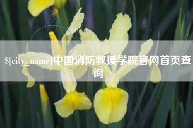 嘉兴中国消防救援学院官网首页查询
