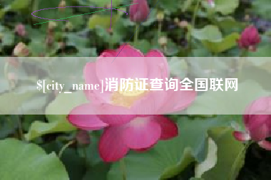 嘉兴消防证查询全国联网
