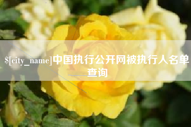 嘉兴中国执行公开网被执行人名单查询
