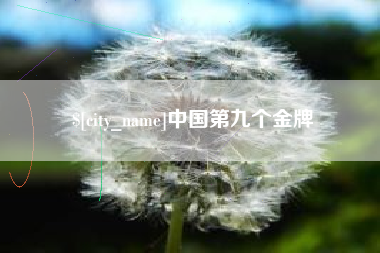 嘉兴中国第九个金牌