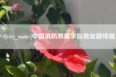 嘉兴中国消防救援学院地址路线图
