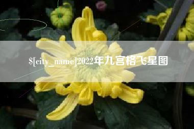 嘉兴2022年九宫格飞星图