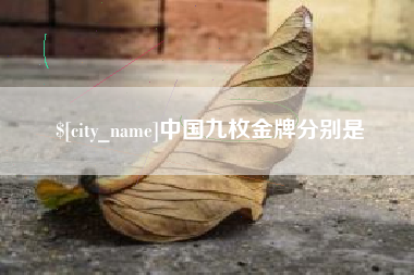 嘉兴中国九枚金牌分别是