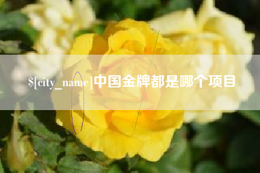 嘉兴中国金牌都是哪个项目