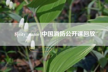嘉兴中国消防公开课回放