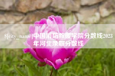 嘉兴中国消防救援学院分数线2023年河北录取分数线