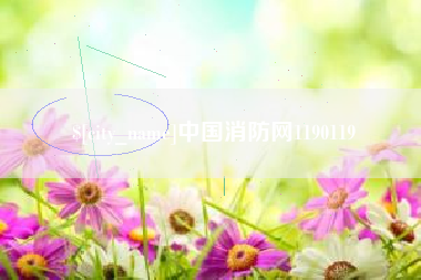 嘉兴中国消防网1190119