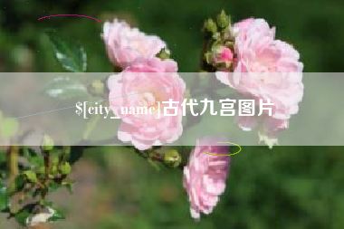 嘉兴古代九宫图片