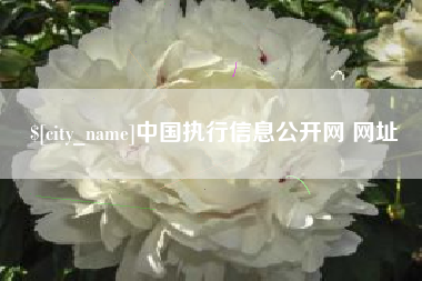 嘉兴中国执行信息公开网 网址