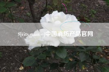 嘉兴中国消防产品官网