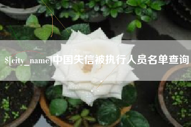 嘉兴中国失信被执行人员名单查询