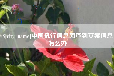 嘉兴中国执行信息网查到立案信息怎么办