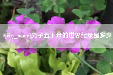 嘉兴男子五千米的世界纪录是多少