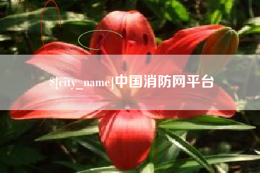嘉兴中国消防网平台