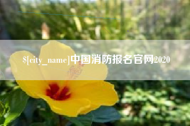 嘉兴中国消防报名官网2020