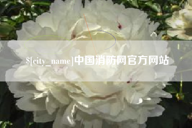 嘉兴中国消防网官方网站