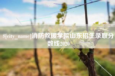 嘉兴消防救援学院山东招生录取分数线2020