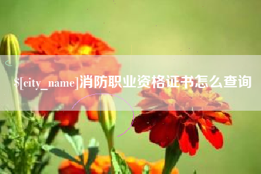 嘉兴消防职业资格证书怎么查询