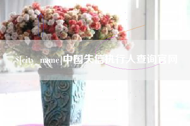 嘉兴中国失信执行人查询官网