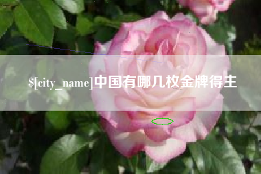 嘉兴中国有哪几枚金牌得主